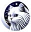 Cat Cognition